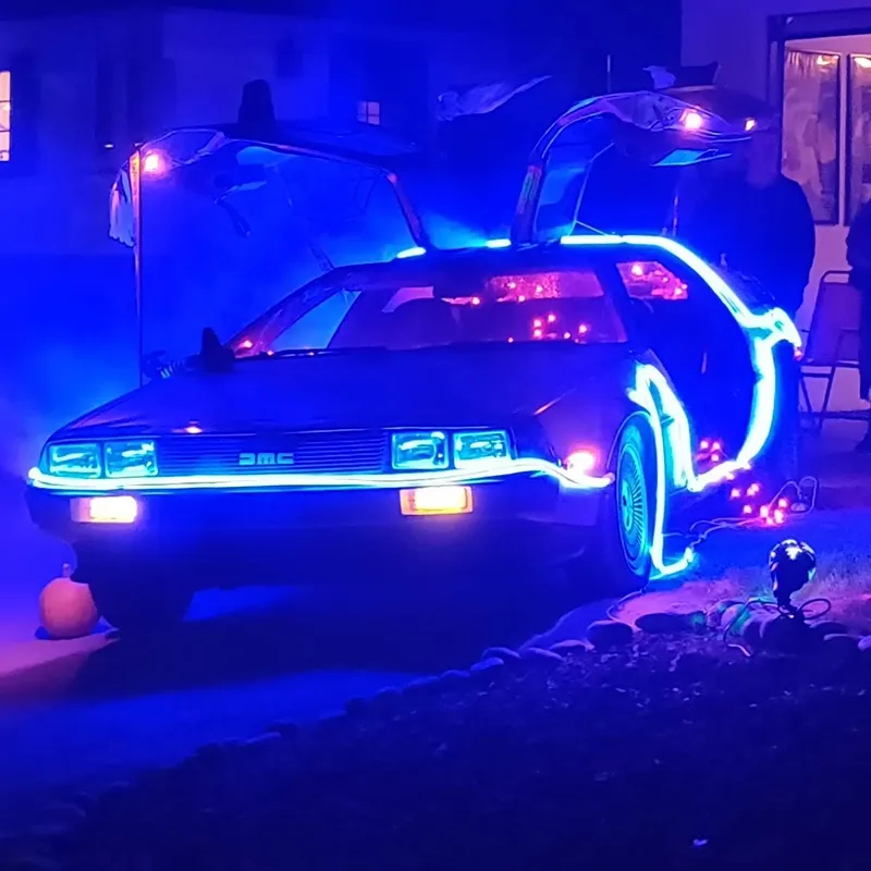 Close-up view of the DeLorean exterior and stainless steel finish